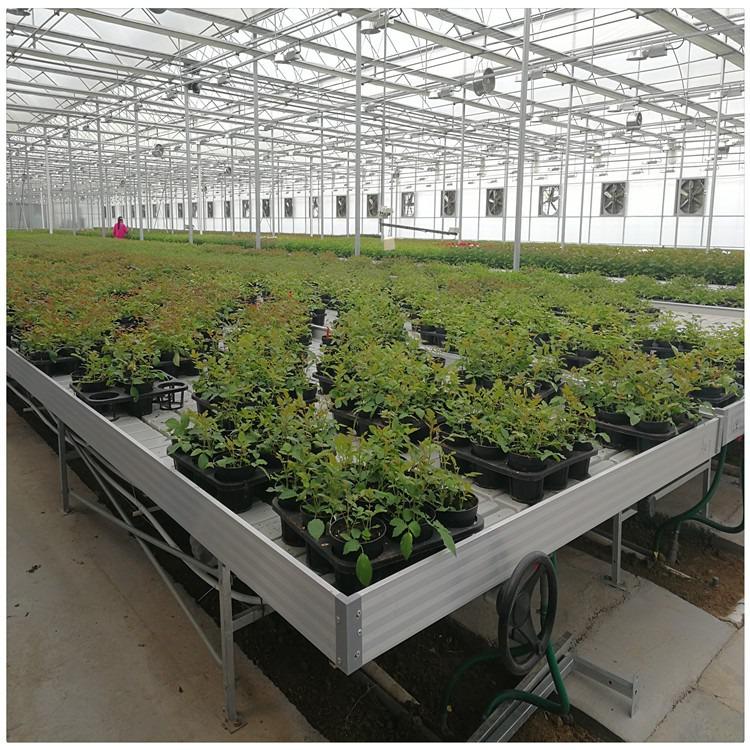 不是什么植物都适用于潮汐苗床的？
